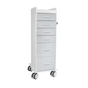 Tall Locking Cart 6D with Silver Drawers