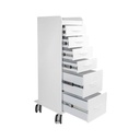 Tall Locking Cart 6D with White Drawers